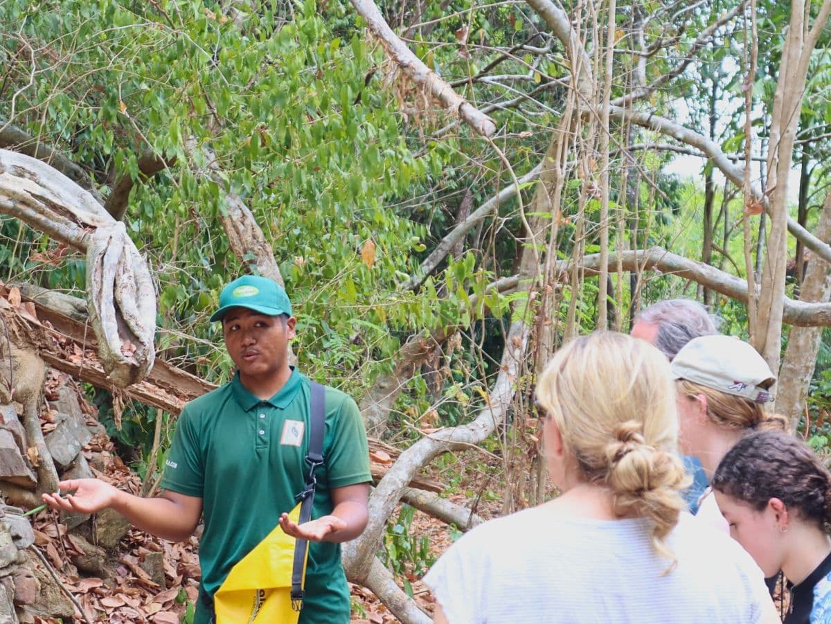 JungleWalla Langkawi Kayaking Adventure & Swimming With Lunch