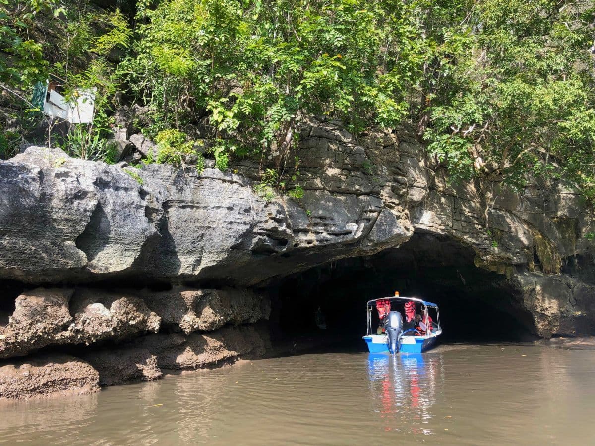 Croisière dans la mangrove du JungleWalla Langkawi Unesco Geopark - Option partagée et privée