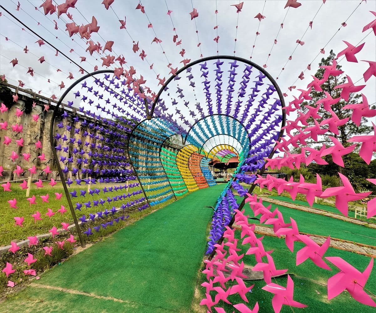 Sosodikon Hill Hiking, Desa Cattle Dairly Farm, & Sky-Mirror Photography 1 Day Tour