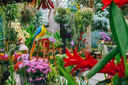 Singapore: Privé rondleiding door Gardens by the Bay en Satay by the Bay