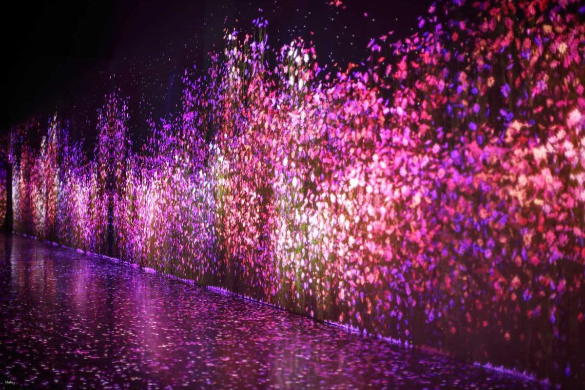 【K11-HACC】ARTE M HONG KONG Admission Ticket