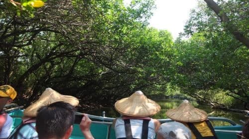 Tainan: Sicao Green Tunnel Scenic Boat Ride Day Tours