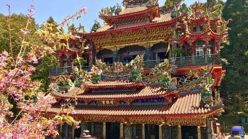 Alishan Join In Day Tour from Taichung (Incl. Park Entrance) Day Tours