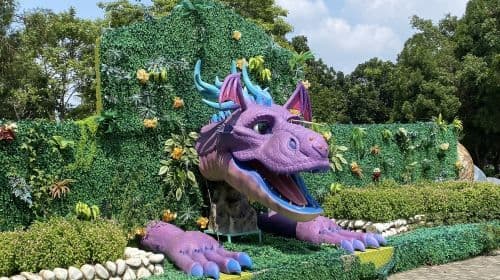 Wonder Park