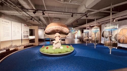 Wufeng Mushroom Museum