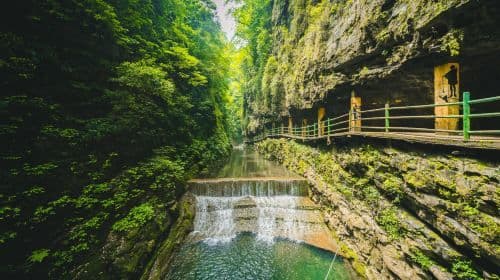 Chongqing Jinfo Mountain: Exploring Ancient Forests and Rare Plants