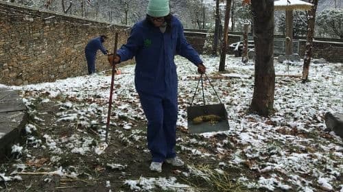 Private Wolong Panda Base and Earthquake Site Day Tour
