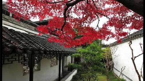 Suzhou City Highlights Day Tour|Humble Administrator's Garden, Tiger Hill, Lion Grove, Hanshan Temple Day Tours
