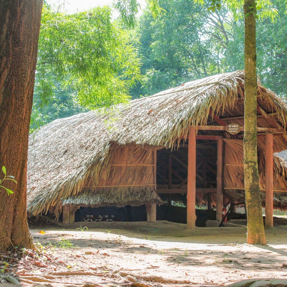Cu Chi Tunnels and Mekong Delta Full Day Tour