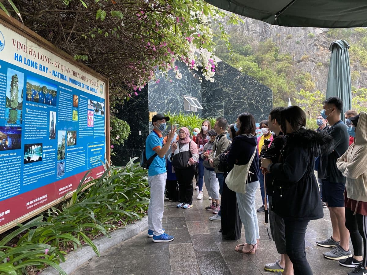 Halong Bay Day Tour 4 Hours Cruising Expressway Transfer