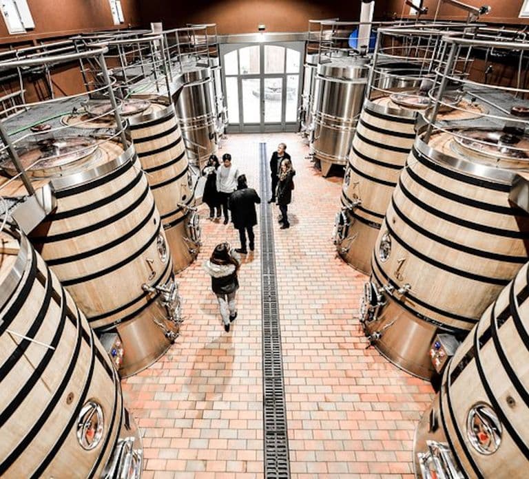 Bordeaux: St-Emilion and Medoc Wine Day Tour with Lunch