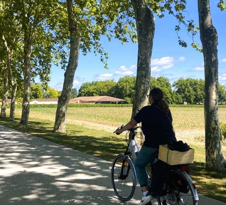 Bordeaux: E-bike tour door de wijngaarden van St-Emilion met wijn & lunch