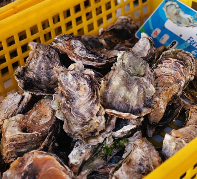 Vanuit Bordeaux: Dagtrip naar Arcachon Bay en oesterlunch