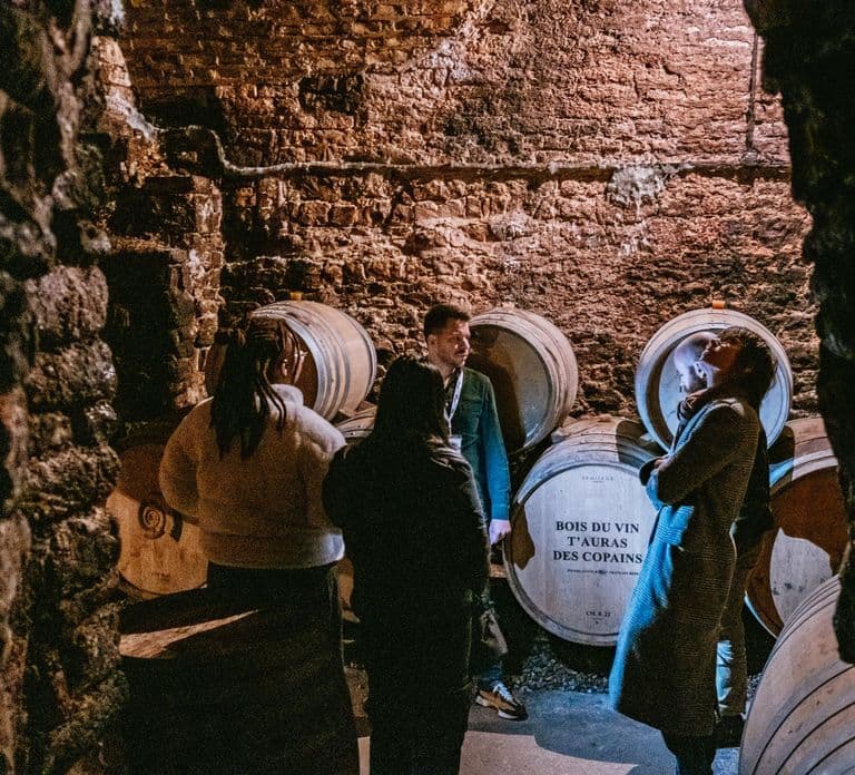 From Paris: Burgundy Region Winery Tour with Tastings
