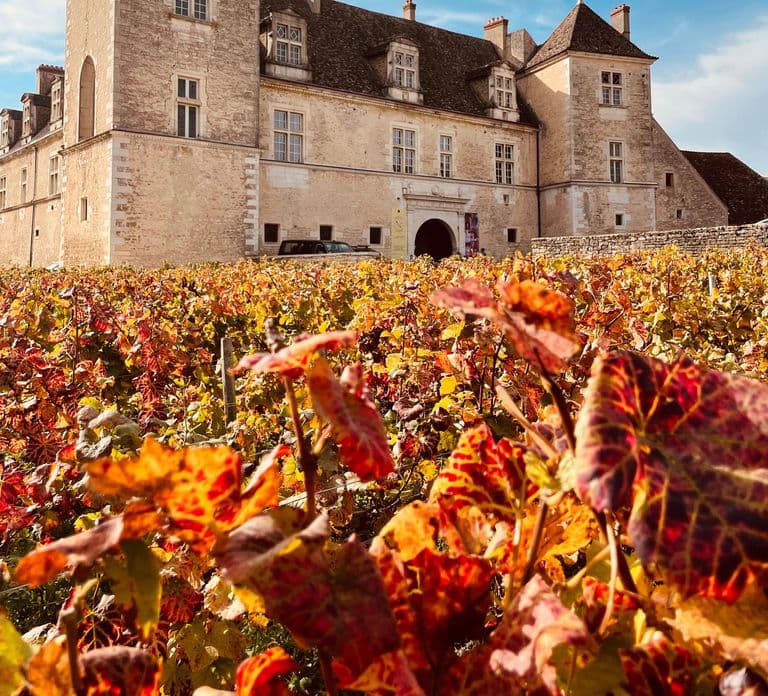 Côte de Nuits: Excursion in the heart of the vineyards