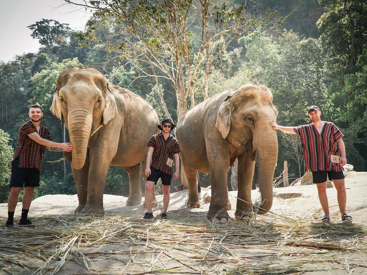 Elephant Jungle Sanctuary - Chiang Mai