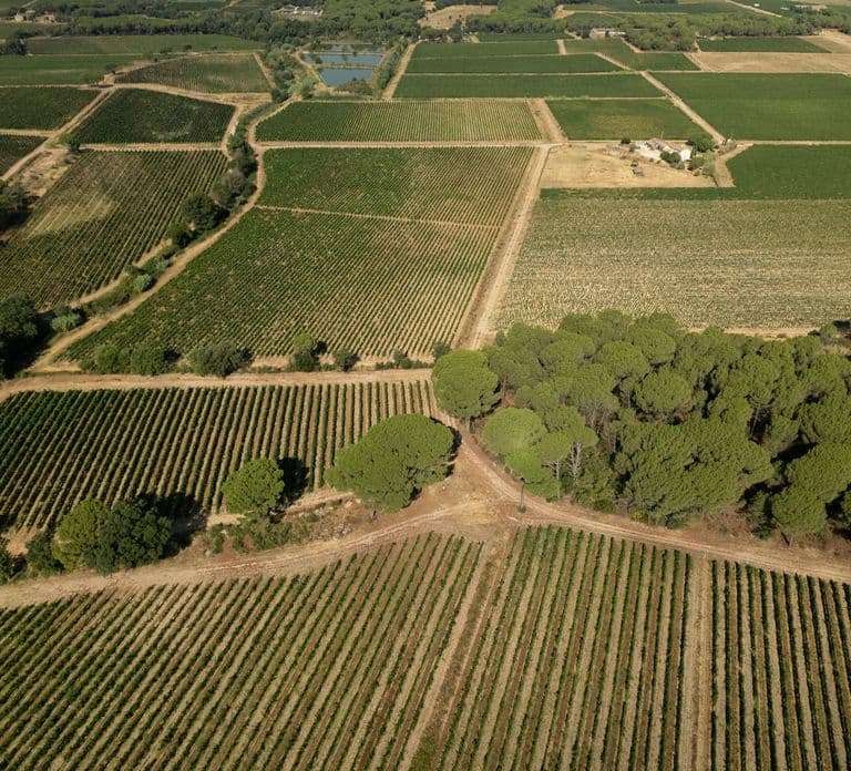 Provence Wine Tour - Small Group Tour from Cannes