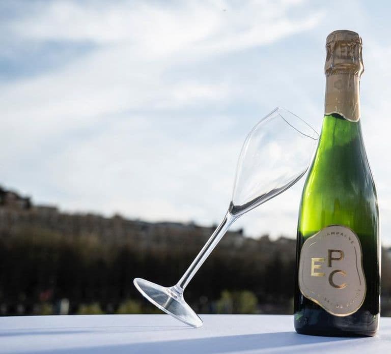 Seine River Sightseeing Cruise by Bateaux Mouches