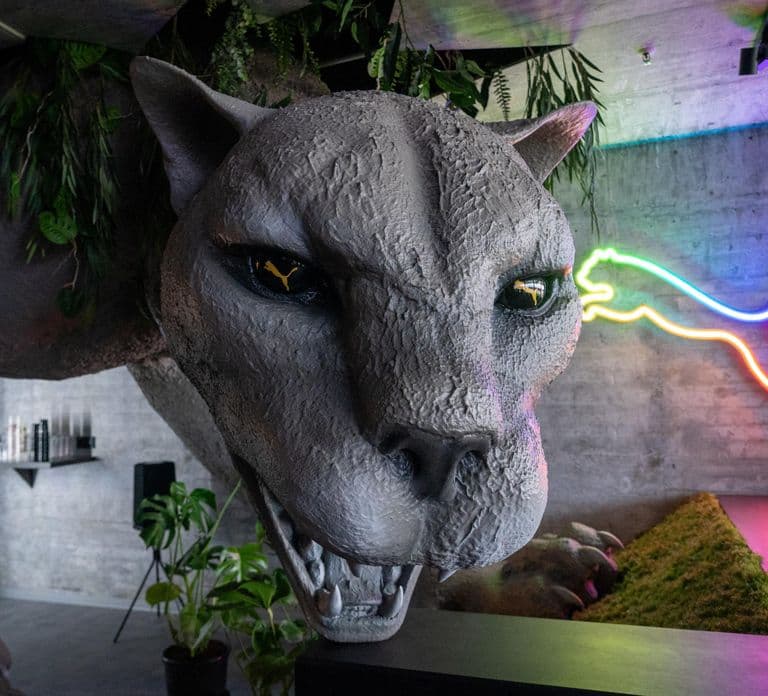 Hamburg: After work Millerntor stadium tour with drinks