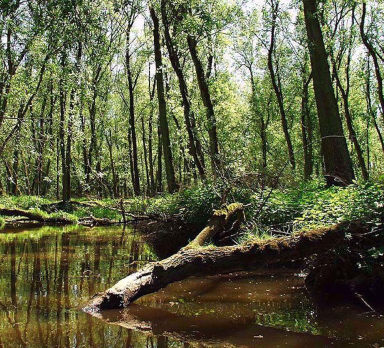 Netherlands