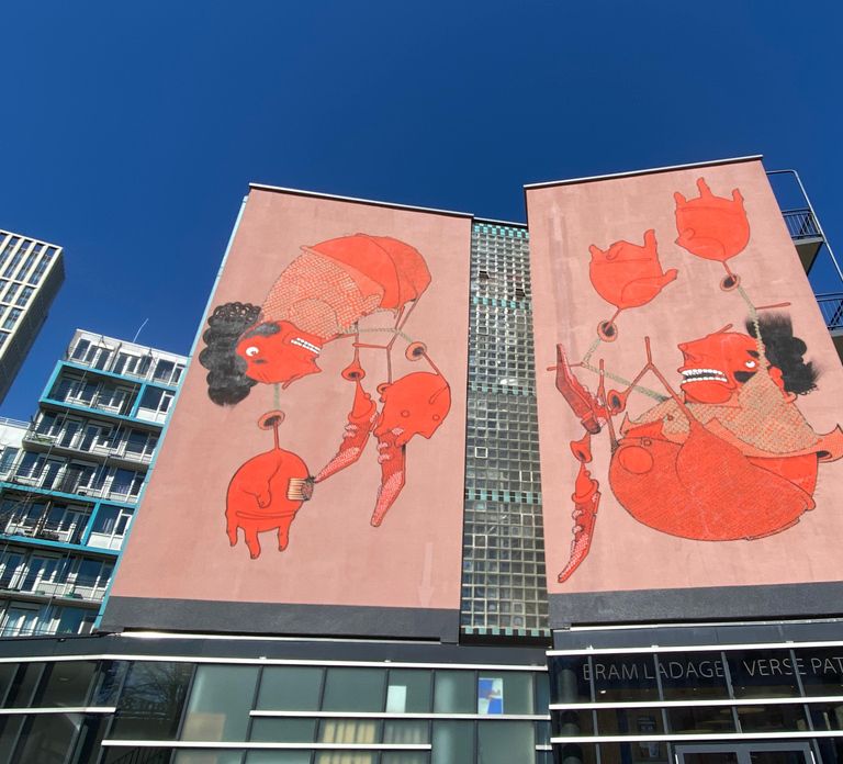 Rotterdam Street Art tour: Including specialised guide