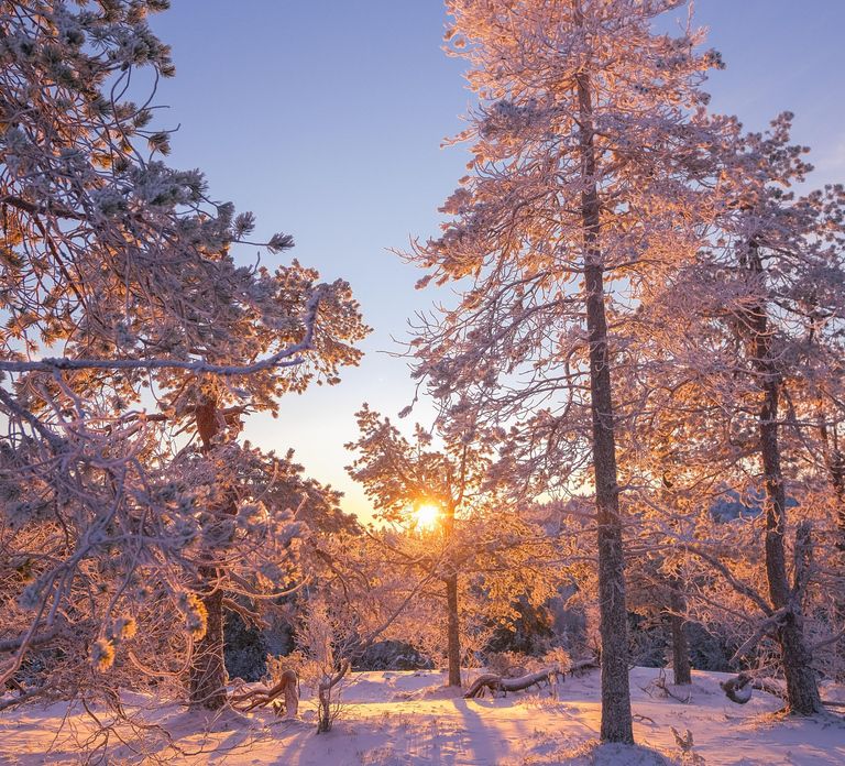 Rovaniemi