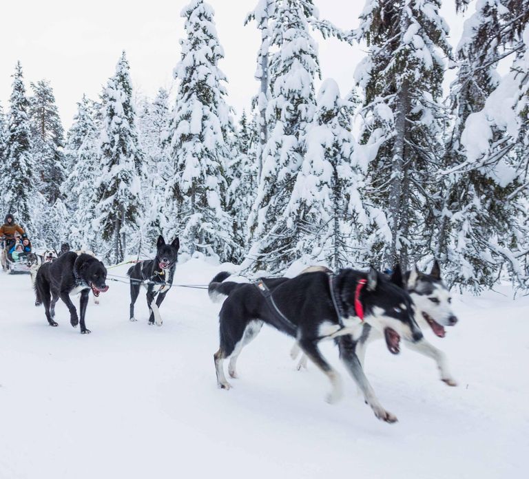 Rovaniemi