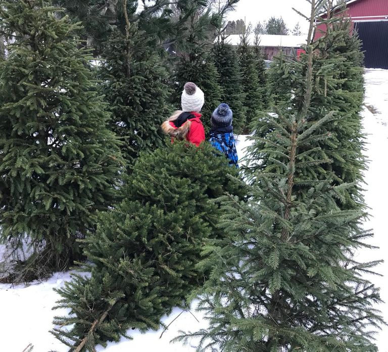 Rovaniemi