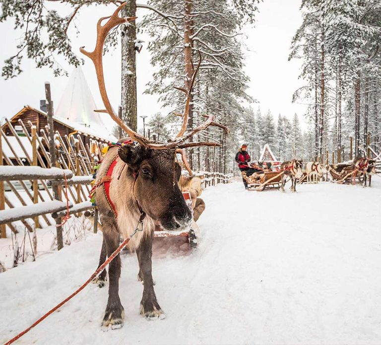 Rovaniemi