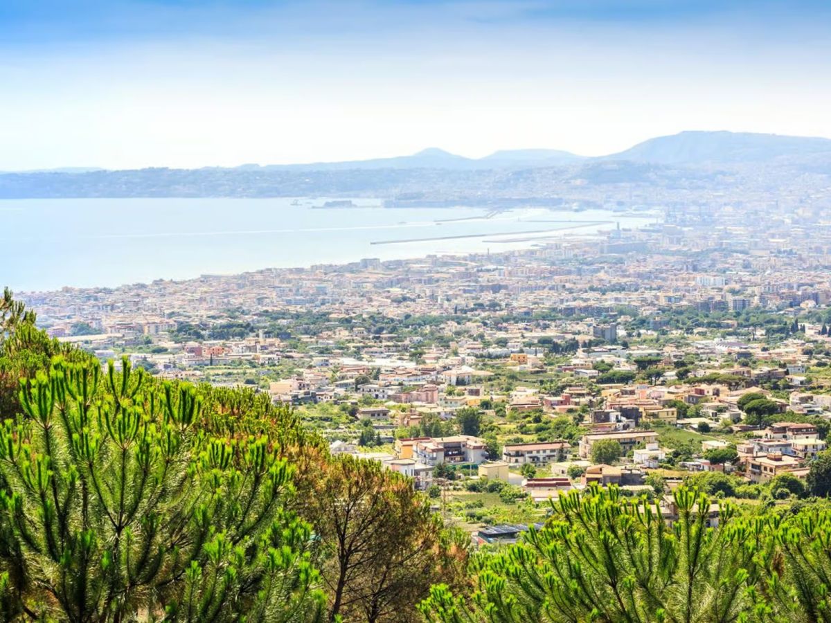From Naples: Mount Vesuvius Transfer with Entry Tickets