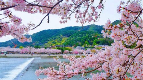日本