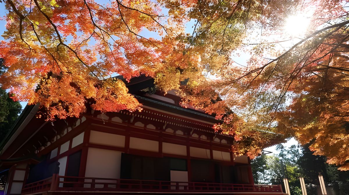 Japan