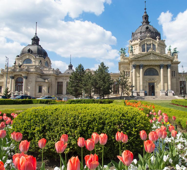 Viena
