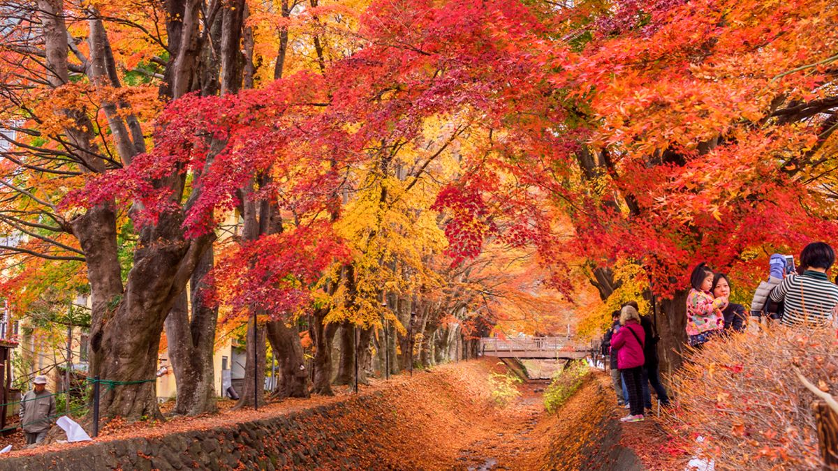 Japan
