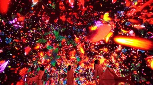 TeamLab Planets TOKYO