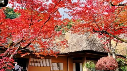 日本