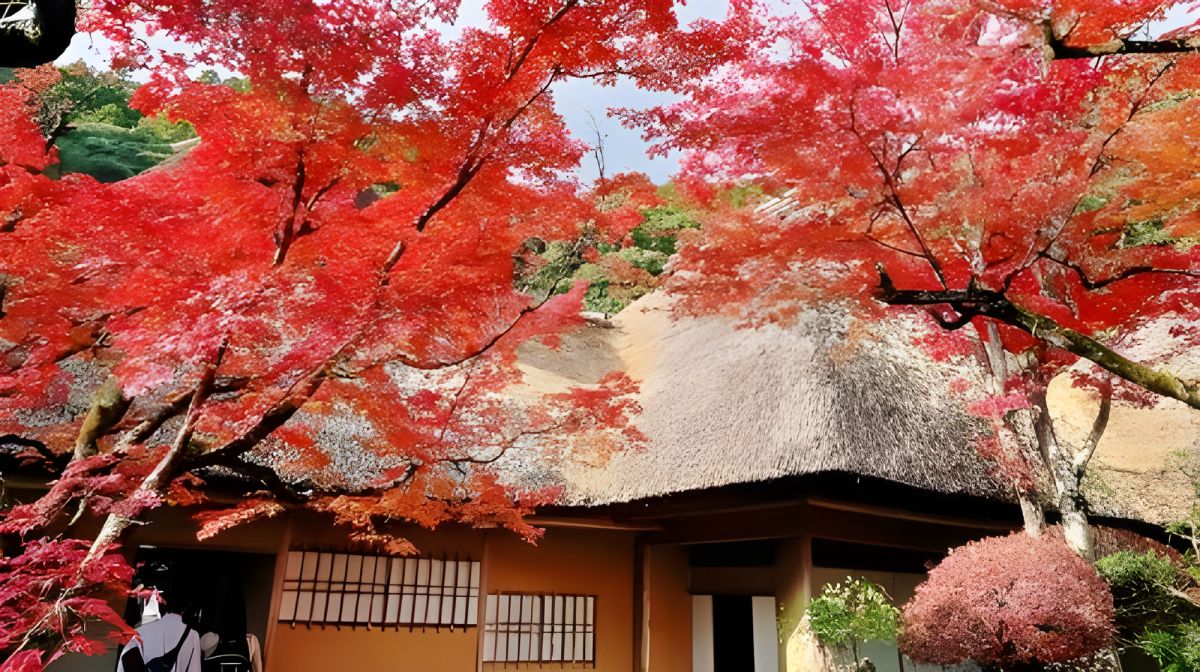 Japan