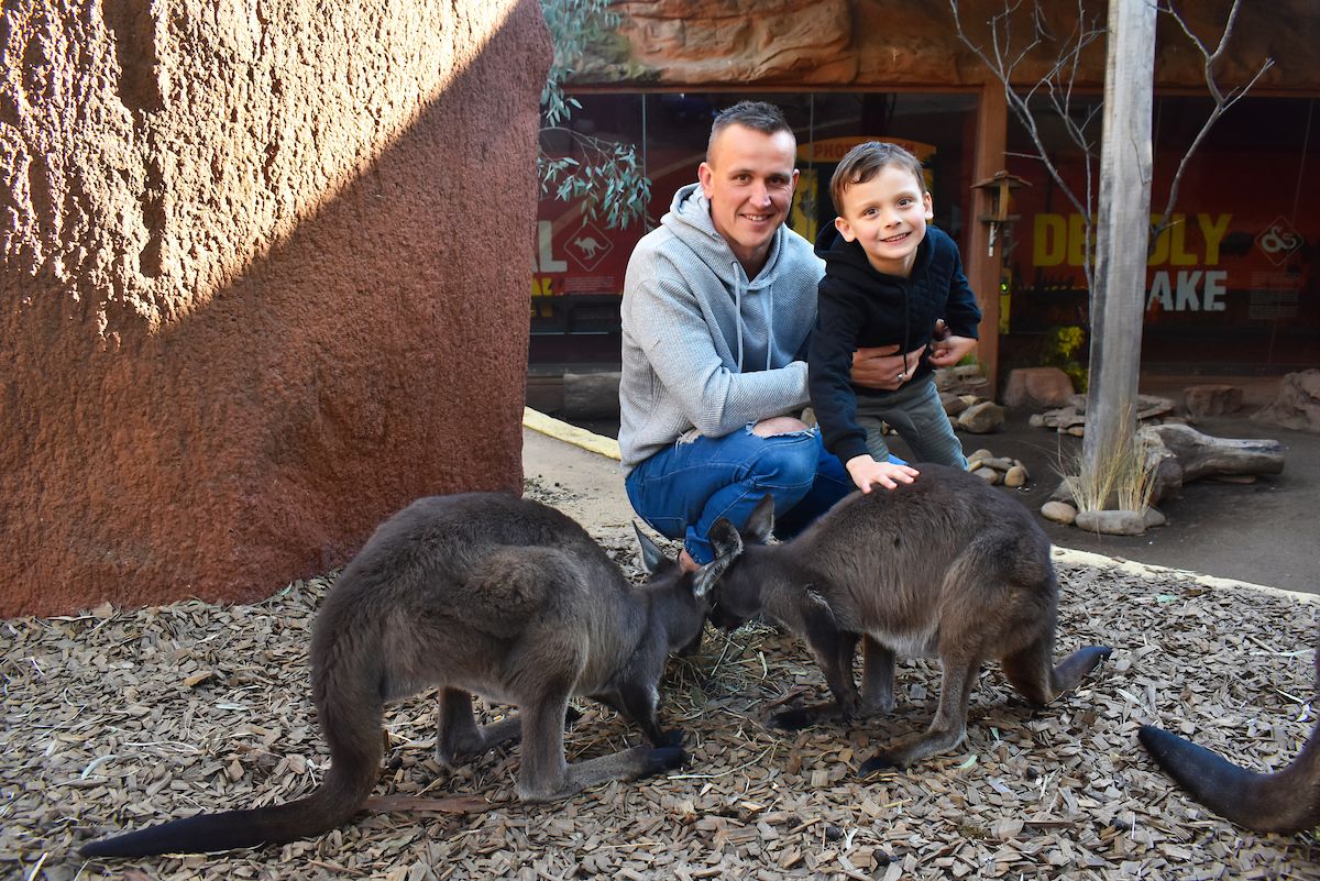 WILD LIFE Sydney