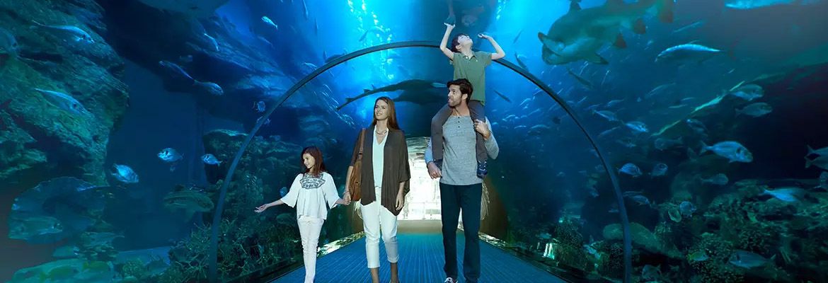 Dubai Aquarium And Underwater Zoo