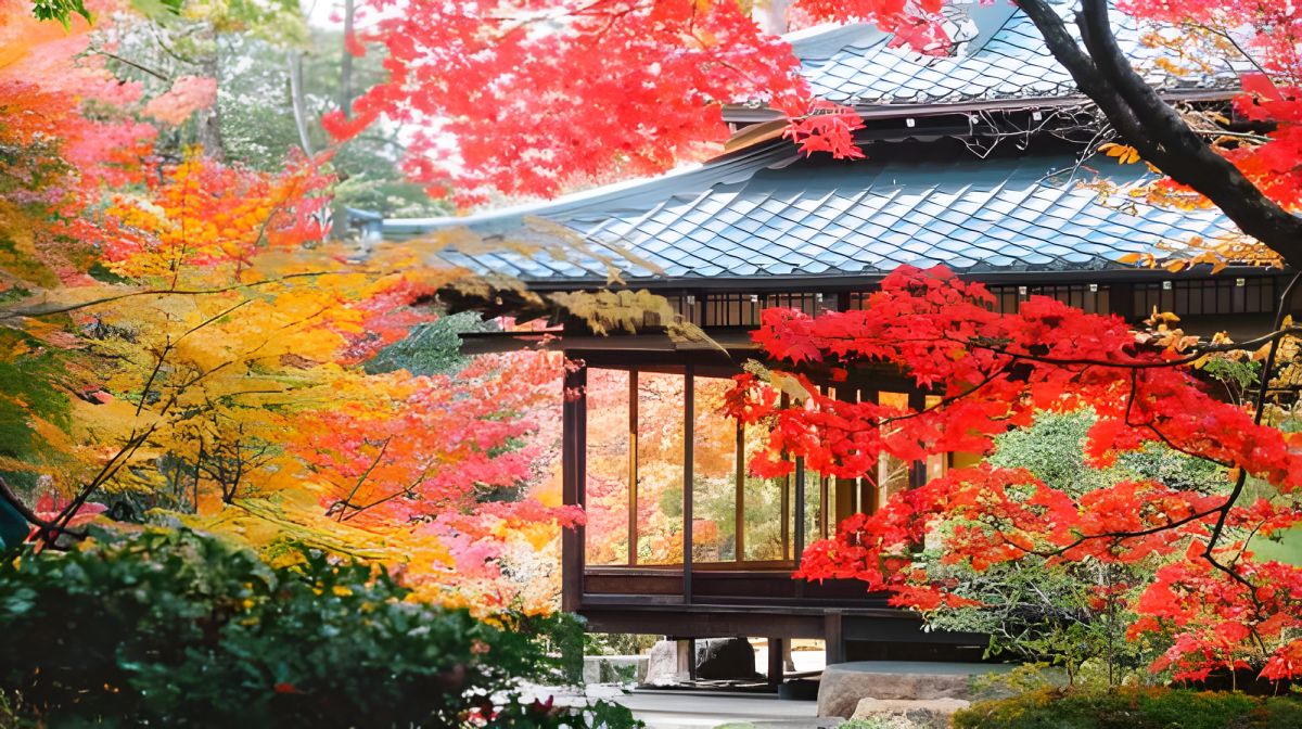 Japão