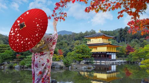Kyoto Autumn Foliage Special: Minoh Falls, Sagano…