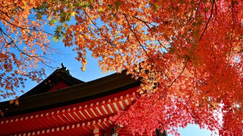 Japan