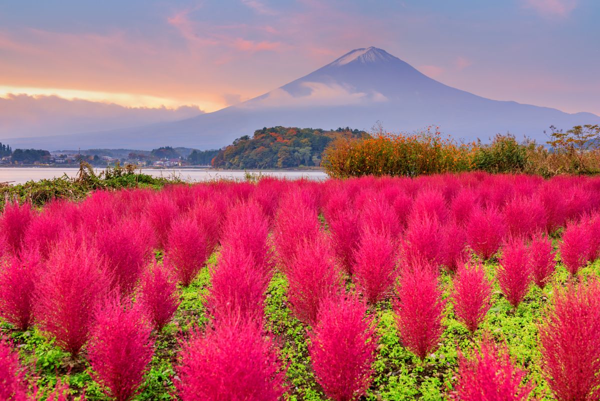 Japão
