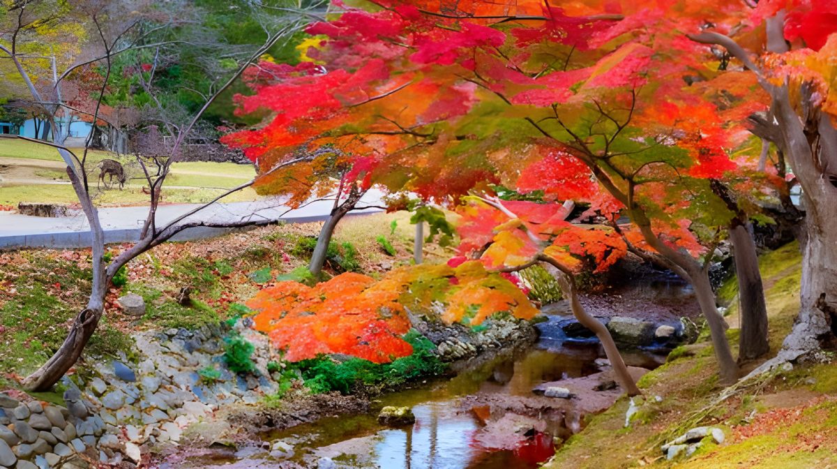Japan