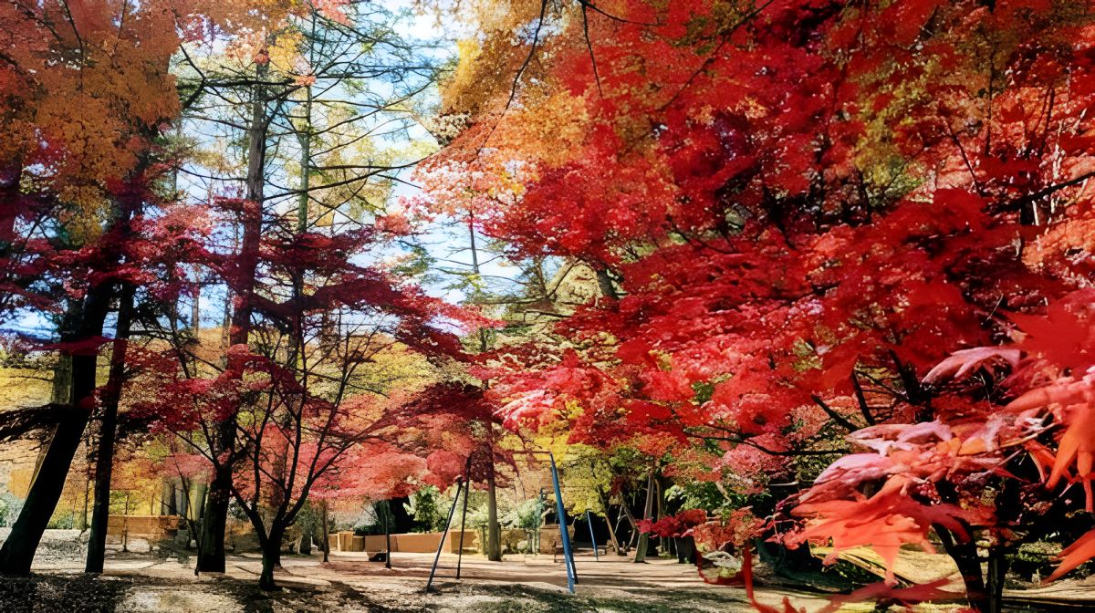 일본