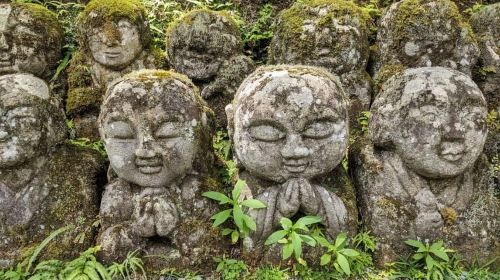 Japonia