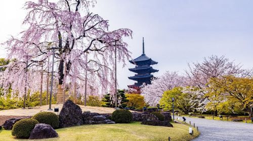 日本