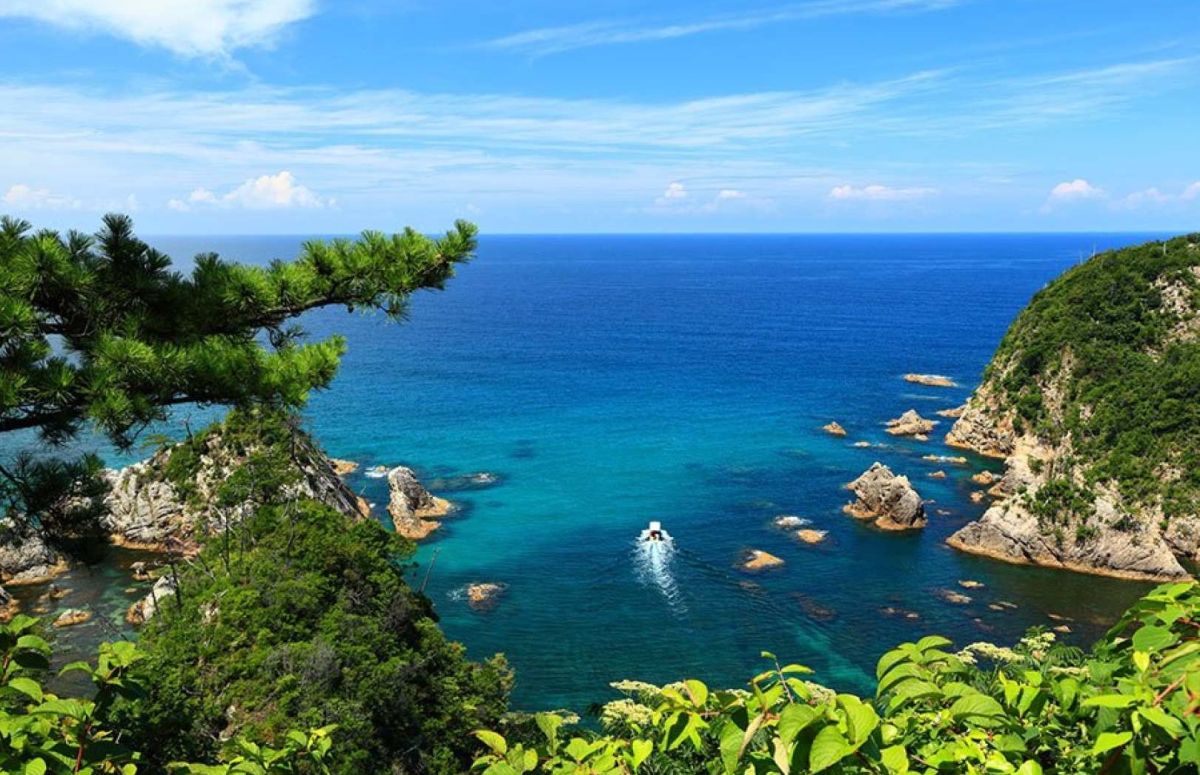 Japonia