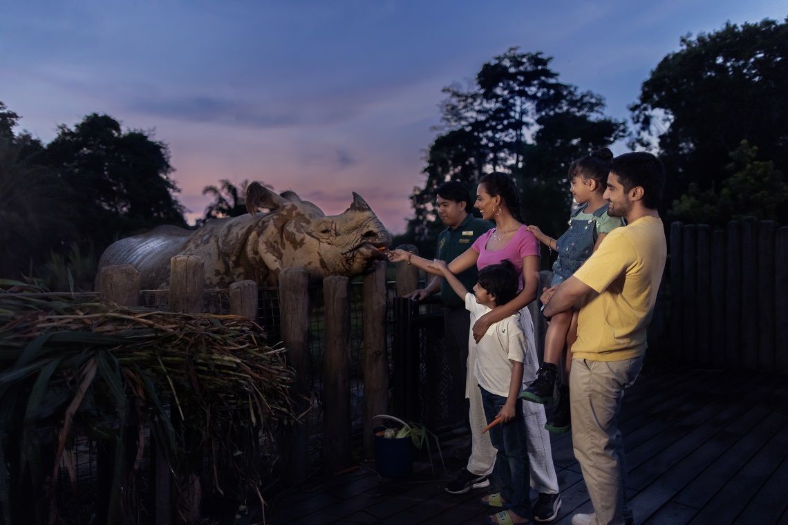 Night Safari