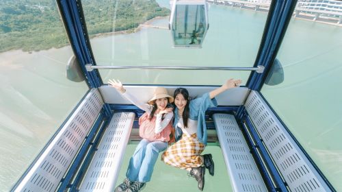 Hong Kong Ngong Ping 360 cable car ticket - standard…